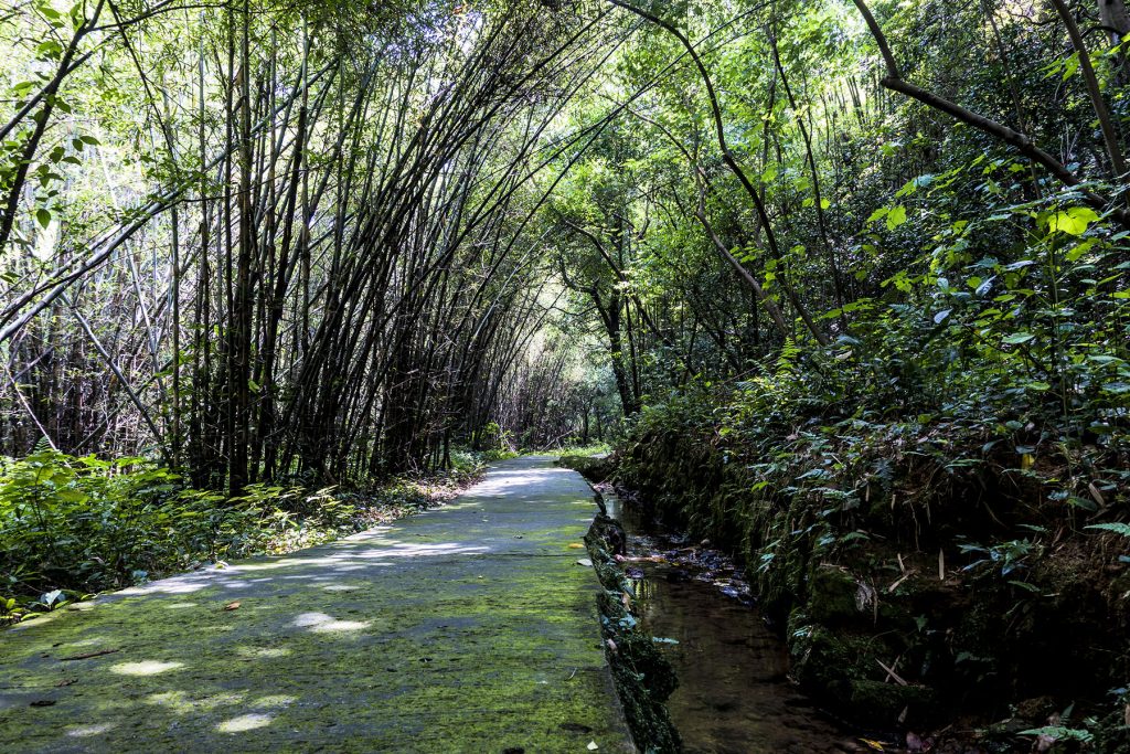 整个西樵最清幽的地方估计就这里了，可惜照片怎么拍都没实景好看